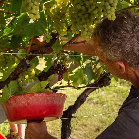 Agritur Al Vigneto Bed and breakfast Trento