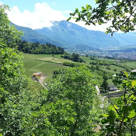 Agritur Al Vigneto 2*